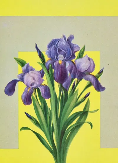 Iris by Lafayette F. Cargill, 1937 — digital art print download