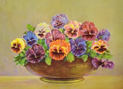 Pansy by Lafayette F. Cargill, 1937 — digital art print download