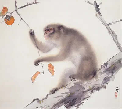 Monkey by Хасимото Кансэцу, 1940 — digital art print download