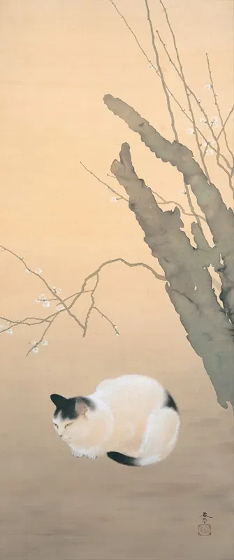Cat and Plum Blossoms by Hishida shunso, 1906 — digital art print download
