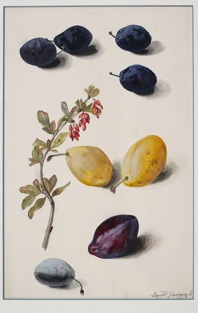 Fruits by Leopold Zinnögger, 1847 — digital art print download