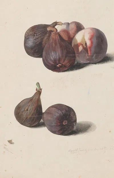 Feigen und Pfirsiche by Leopold Zinnögger, 1833 — digital art print download
