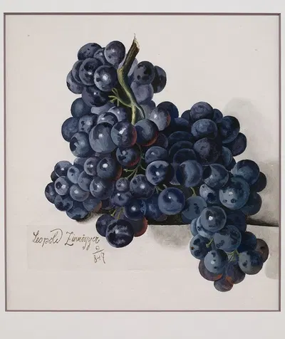 Grapes by Leopold Zinnögger, 1847 — digital art print download