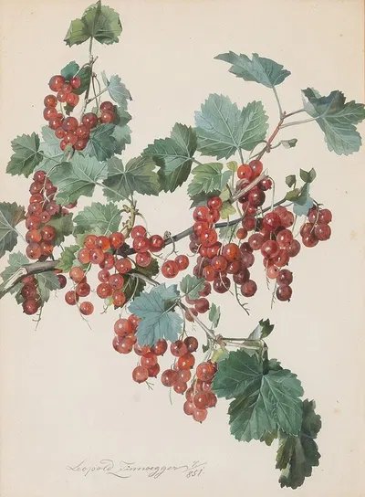 Rote Ribisel by Leopold Zinnögger, 1851 — digital art print download