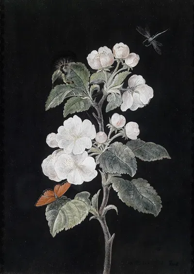 Apfelblüten by Margaretha Barbara Dietzsch — digital art print download