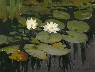 Water lilies by Теодор Зиомек, 1905 — digital art print download