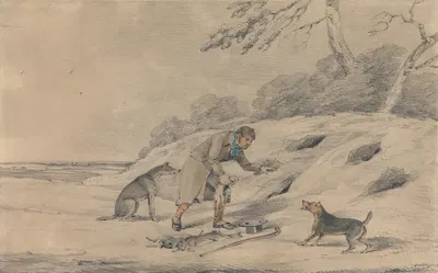 Ferreting by Samuel Alken — digital art print download