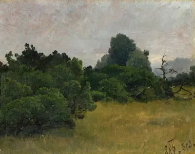 Baumgruppe (Skizze) by Carl Bolze, 1886 — digital art print download