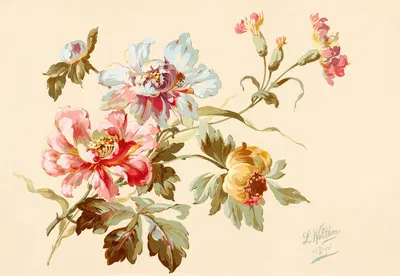 Lilled by Лилли Вальтер, 1895 — digital art print download