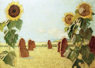 Подсолнухи by Герман Урбан, 1924 — digital art print download