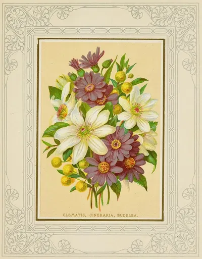 Clematis, Cineraria, Buddlea by Marcus Ward & Co, 1877 — digital art print download