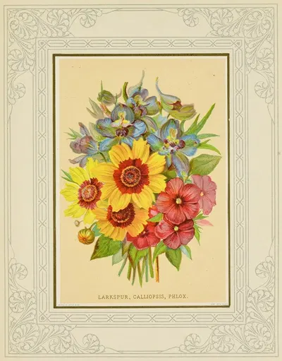 Larkspur, Calliopsis, Phlox by Marcus Ward & Co, 1877 — digital art print download