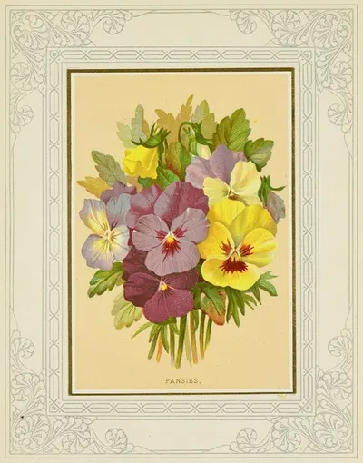 Pansies by Marcus Ward & Co, 1877 — digital art print download