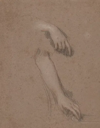 Drawings of Hands by Сэр Питер Лели — digital art print download