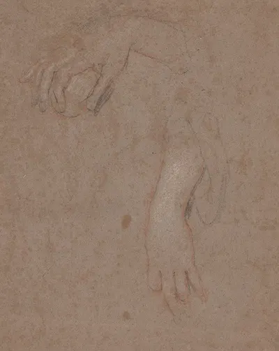 Drawings of Hands by Сэр Питер Лели — digital art print download