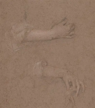 Drawings of Hands by Сэр Питер Лели — digital art print download