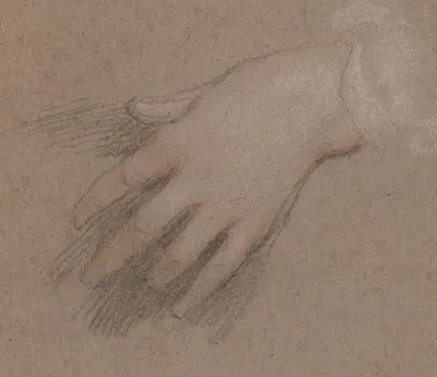 Drawings of Hands by Сэр Питер Лели — digital art print download