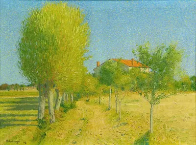 Аллея ив за Алуеттой в Кайло by Ахилле Ложе, 1907 — digital art print download