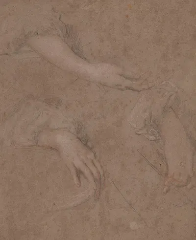 Drawings of Hands by Сэр Питер Лели — digital art print download