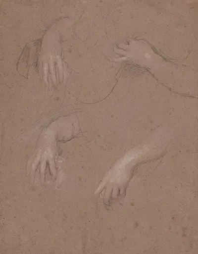 Drawings of Hands by Сэр Питер Лели — digital art print download