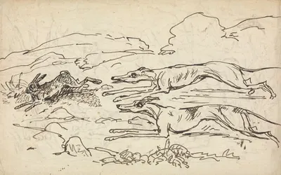 Hounds Chasing a Hare by Томас Бредшоу — digital art print download