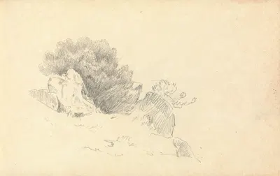 Sketch of Rocks and Shrubs by Thomas Bradshaw — digital art print download