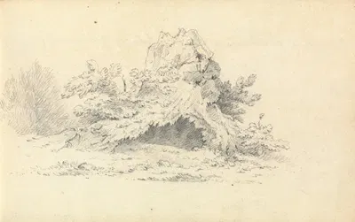 Sketch of Shrubbery by Thomas Bradshaw — digital art print download