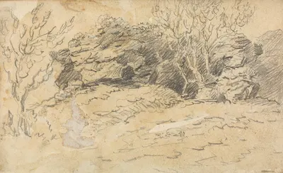 Sketch of Trees and Rocks by Thomas Bradshaw — digital art print download