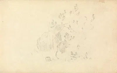 Slight Sketch of Rocks and Leaves by Thomas Bradshaw — digital art print download