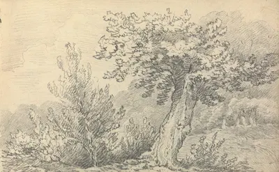 Study of Trees and Shrubs by Томас Бредшоу — digital art print download