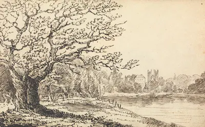 Trees Alongside a River with Buildings in the Distance by Thomas Bradshaw — digital art print download