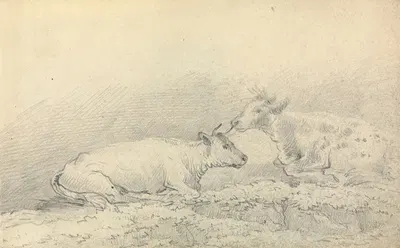 Two Cows Resting by Thomas Bradshaw — digital art print download