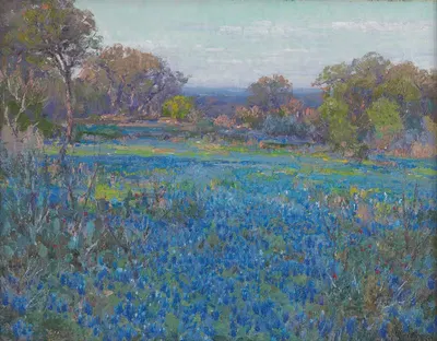 A field of Blue Bonnets, late afternoon sunlight by Julian Onderdonk, 1919-1920 — digital art print download