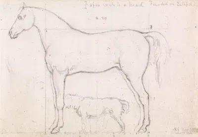 Anatomical Study of a Horse, Founded on `Eclipse', Nov. 26, 1832 by William Mulready, 1832 — digital art print download