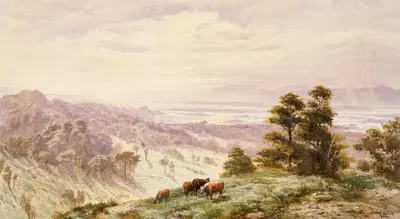 Пейзаж [Ваймеа Плейнс, Нельсон] by Джон Галли, 1881 — digital art print download