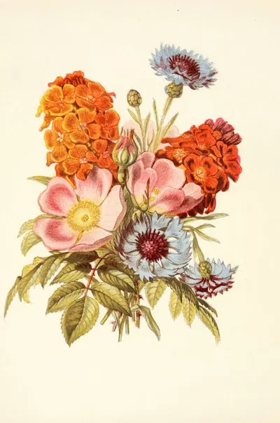 Blue Bottle, Dog Rose, Garden Anemone by Robert Tyas, 1869 — digital art print download