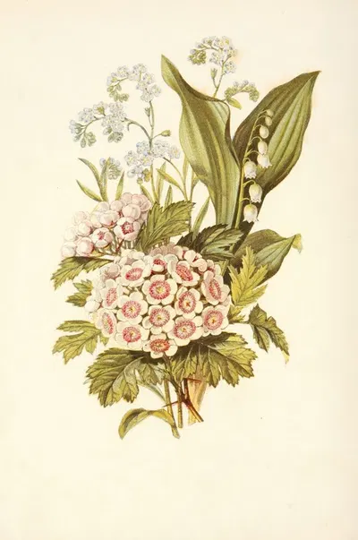 Forget-me-not, Hawthorn, Lily of the Valley by Robert Tyas, 1869 — digital art print download