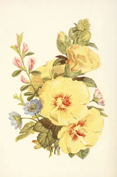 Hollyhock, Hepatica, Rest Harrow by Robert Tyas, 1869 — digital art print download