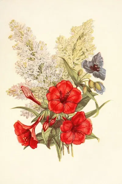 Lilac, Marvel of Peru, Spiderwort by Robert Tyas, 1869 — digital art print download