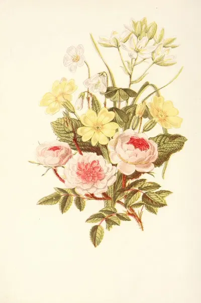Pompon Rose, Star of Bethlehem, Primrose, Wood Sorrel by Robert Tyas, 1869 — digital art print download