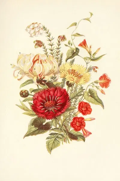 Scarlet Ipomcea, Honeysuckle, White Heath, Sweet Sultan by Robert Tyas, 1869 — digital art print download