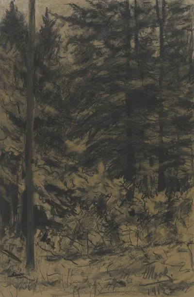 Fir trees by Friedrich Mook, 1912 — digital art print download