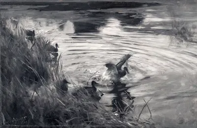 Wild Ducks among Reeds by Бруно Лильефорс, 1890 — digital art print download