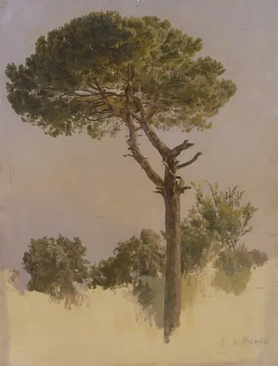 Сосна у Санта-Никола да Толентино в Риме by Иоганн Непомук Раух, 1841-1847 — digital art print download