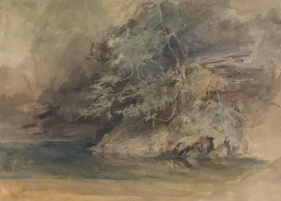 Trees by a Pool by John Absolon — digital art print download