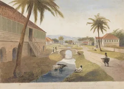 Holland Estate, St. Thomas in the East, Jamaica by James Hakewill — digital art print download