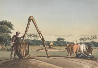 Чекку или маслобойня by Джон Гантц, 1828 — digital art print download