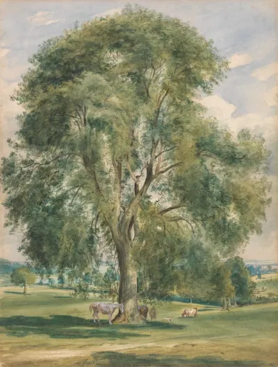 A Large Tree in a Summer Landscape, a Horse Standing at the Base by Lionel Constable — digital art print download
