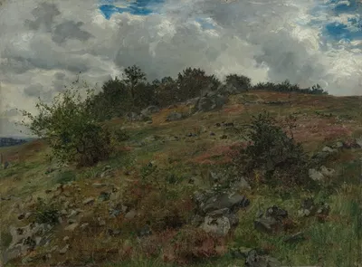 Хейдландшафт у Кляйн-Сассена в Рён by Альберт Ланг, 1873 — digital art print download