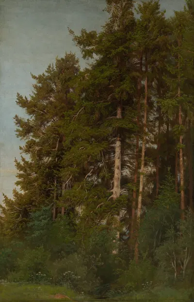 Tannen und Unterholz by Emil Lugo — digital art print download